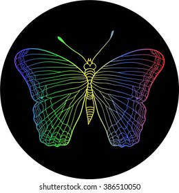 butterfly color pattern illustration vector  nature