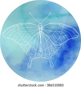 butterfly color pattern illustration vector nature