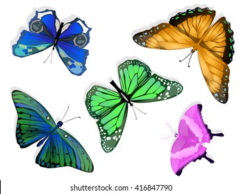 Butterfly color. Set of butterflies. Icon butterflies. Vector butterfly. Isolated set of butterflies. Vector illustration