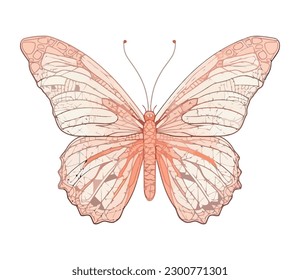 Butterfly in colored abstract decoration icon isolated