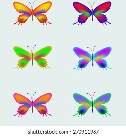 butterfly colorful