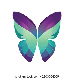 Mariposa colorido hermoso patrón Decorativo