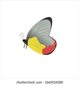 Butterfly Colorful Cartoon Vector Illustration 