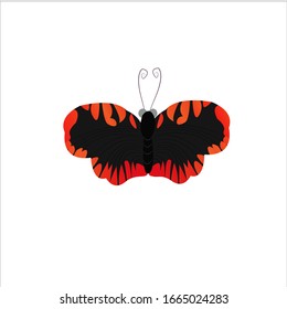 Butterfly Colorful Cartoon Vector Illustration 