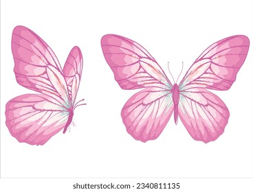 butterfly colorful hand drawn design