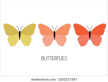 butterfly colorful hand drawn design vector