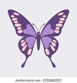 Butterfly Colorful icon vector illustration image