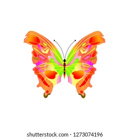 butterfly with a colorful pattern on the wings. Vector illustration isolated on white background.