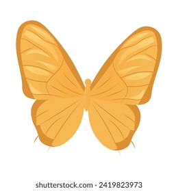 Butterfly of colorful set. This exquisite illustration of a gorgeous, brightly golden butterfly, presented in an alluring cartoon design against a pure white backdrop. Vector illustration.