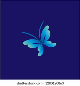 butterfly colorful vector