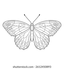 butterfly coloring book for adult