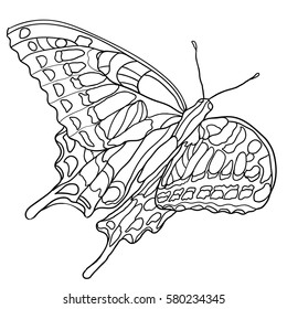 Butterfly. Coloring book for adult and older children. Coloring page with decorative vintage. Outline hand drawn.  Vector illustration. Hand-drawn zentangle style. Black and White