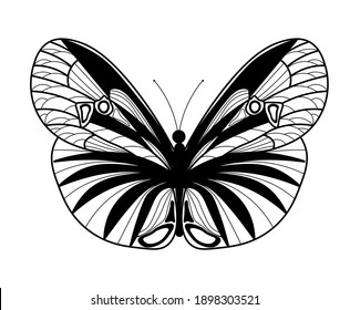 Butterfly coloring book design. Linear drawing of a butterfly.
