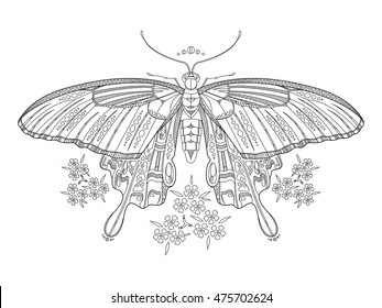Butterfly coloring book vector illustration. Anti-stress coloring for adult. Zentangle style. Black and white lines. Lace pattern
