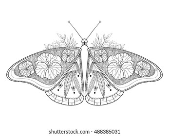Butterfly coloring book vector illustration. Anti-stress coloring for adult. Zentangle style. Black and white lines. Lace pattern