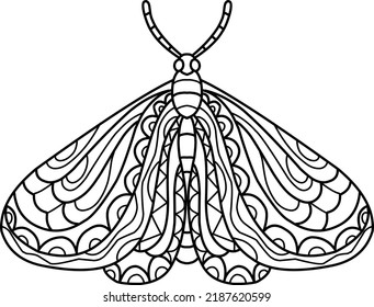 butterfly coloring book zentangle isolated on white background