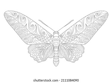 Butterfly coloring page. Adult anti-stress coloring book. Zentangle. Black and white bird doodle sketch
