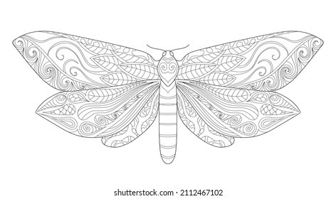 Butterfly-Farbseite. Erwachsenenfarbbuch zur Anti-Stress-Behandlung. Zentangle. Schwarz-Weiß-Insektendoodle-Skizze. Handgezeichnete Motte
