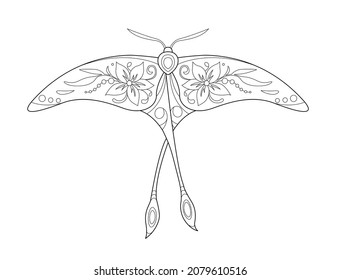 Butterfly coloring page. Black and white line art. Coloring book for adults.