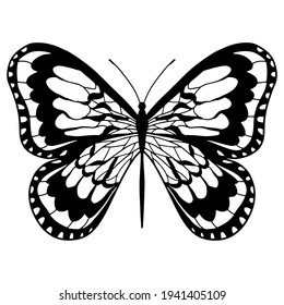 Butterfly. Coloring page, line art. Isolated vector clip art element