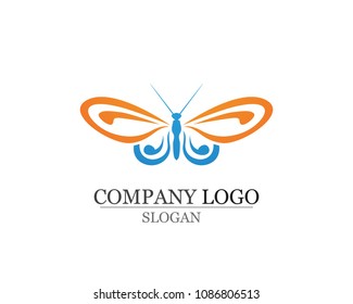 Butterfly conceptual simple, colorful icon. Logo. Vector illustration