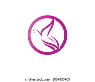 Butterfly conceptual simple, colorful icon. Logo. Vector illustration
