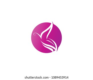 Butterfly conceptual simple, colorful icon. Logo. Vector illustration

