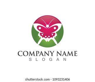 Butterfly conceptual simple, colorful icon. Logo. Vector illustration
