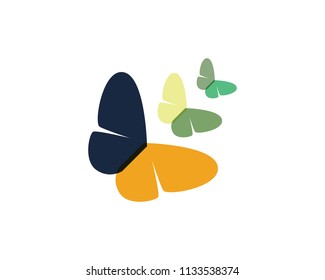 Butterfly conceptual simple, colorful icon. Logo. Vector illustration
