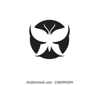 Butterfly conceptual simple, colorful icon. Logo. Vector illustration
