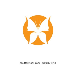 Butterfly conceptual simple, colorful icon. Logo. Vector illustration
