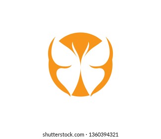 Butterfly conceptual simple, colorful icon. Logo. Vector illustration
