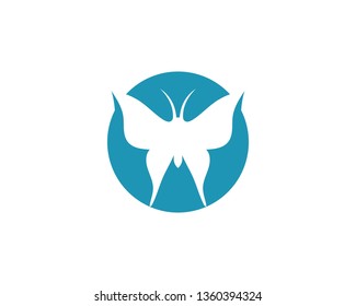 Butterfly conceptual simple, colorful icon. Logo. Vector illustration
