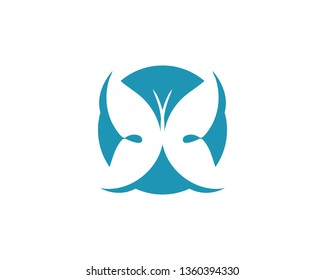 Butterfly conceptual simple, colorful icon. Logo. Vector illustration
