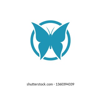 Butterfly conceptual simple, colorful icon. Logo. Vector illustration
