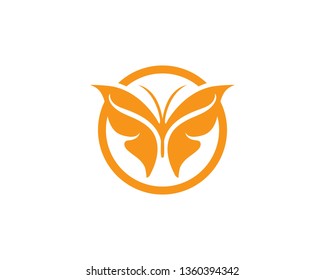 Butterfly conceptual simple, colorful icon. Logo. Vector illustration
