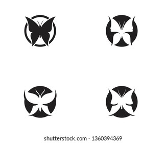 Butterfly conceptual simple, colorful icon. Logo. Vector illustration
