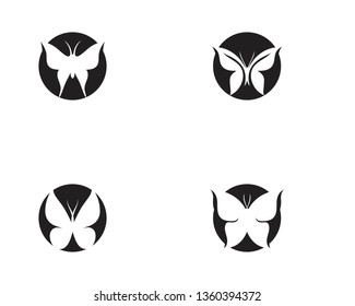 Butterfly conceptual simple, colorful icon. Logo. Vector illustration
