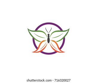 Butterfly conceptual simple, colorful icon. Logo. Vector illustration
