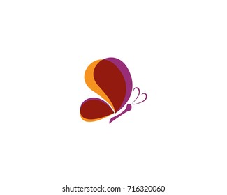 Butterfly conceptual simple, colorful icon. Logo. Vector illustration
