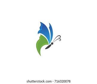 Butterfly conceptual simple, colorful icon. Logo. Vector illustration
