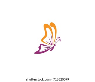 Butterfly conceptual simple, colorful icon. Logo. Vector illustration
