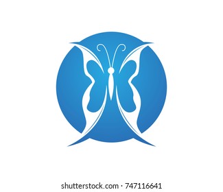 Butterfly conceptual simple, colorful icon. Logo. Vector illustration
