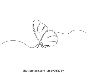 Butterfly continuous line art. Butterfly one line drawing. Flying animal concept vector illustration