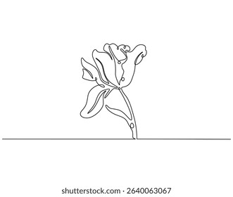 Butterfly continuous line art. Butterfly one line drawing. Flying animal concept vector illustration