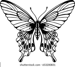 Butterfly, contour black and white vector illustration.