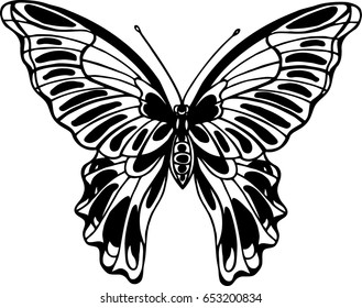 Butterfly, contour black and white vector illustration.