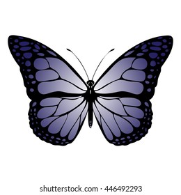 Butterfly cute illustration