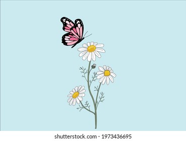 butterfly daisy hand drawn vector