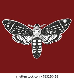 
butterfly dead head.